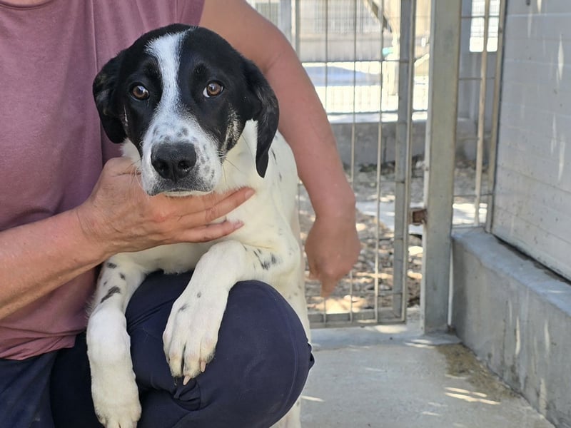 Castagna: sehnt sich nach Freiheit