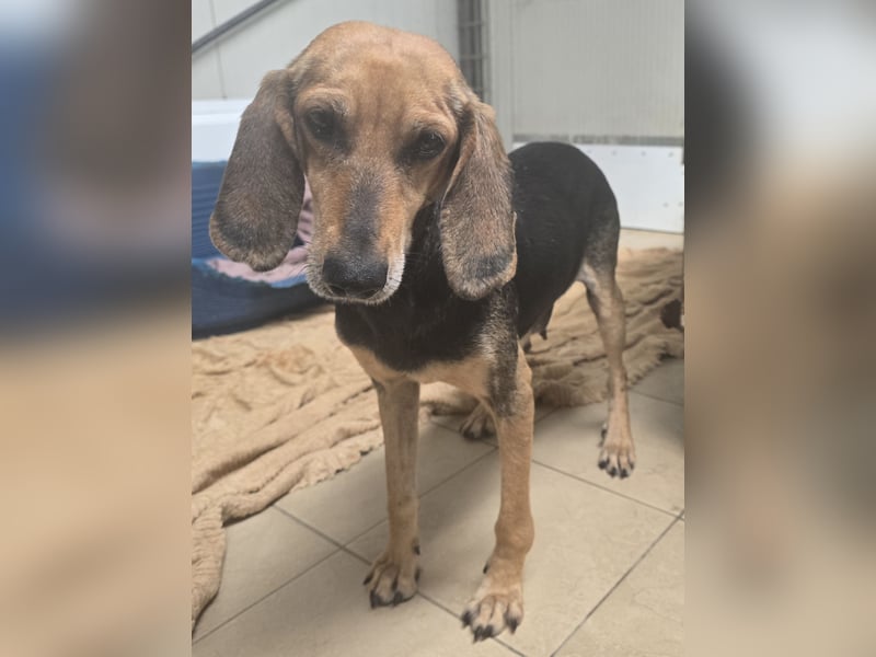 Paoluccia: wird sie noch einmal Geborgenheit spüren?