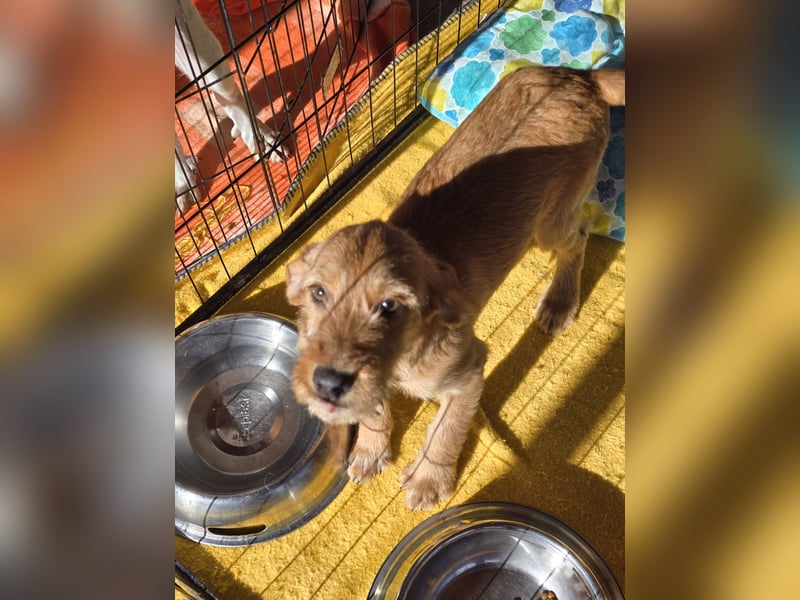 Simona: Lebensfreude pur