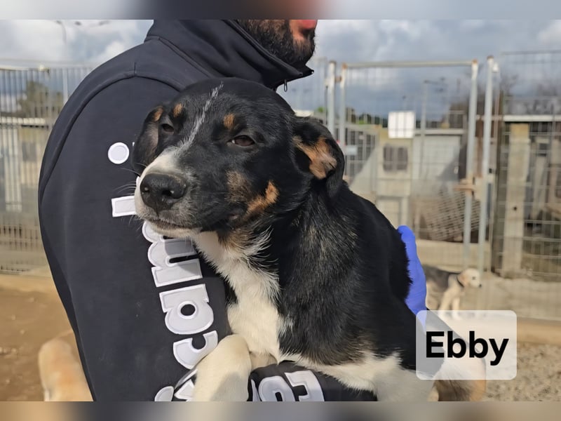 Ebby: ein Schatz für die ganze Familie
