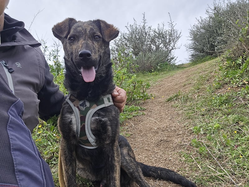 Frieda: ein Schatz für "überall mit dabei"