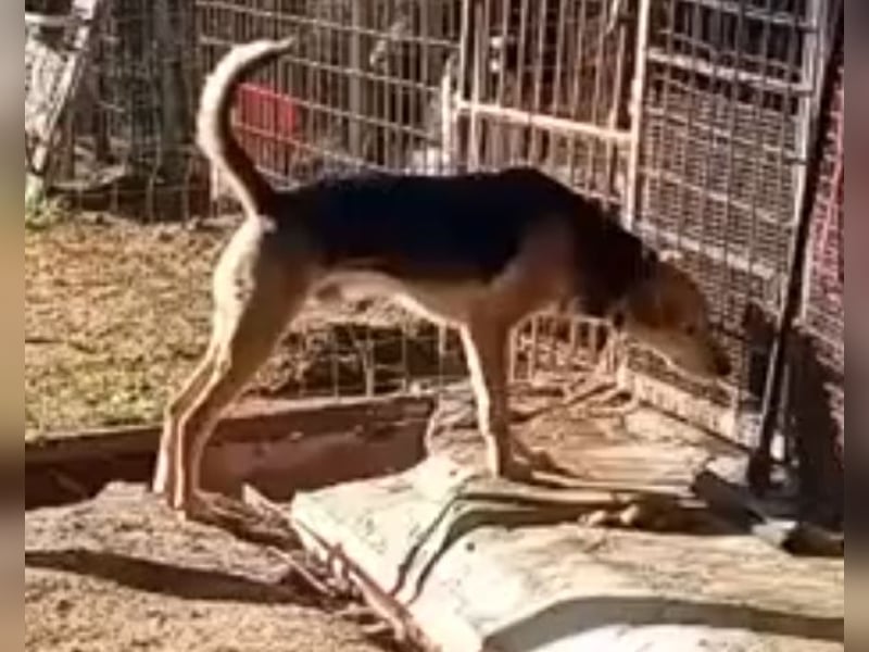 Spenck: wo darf ich hin?