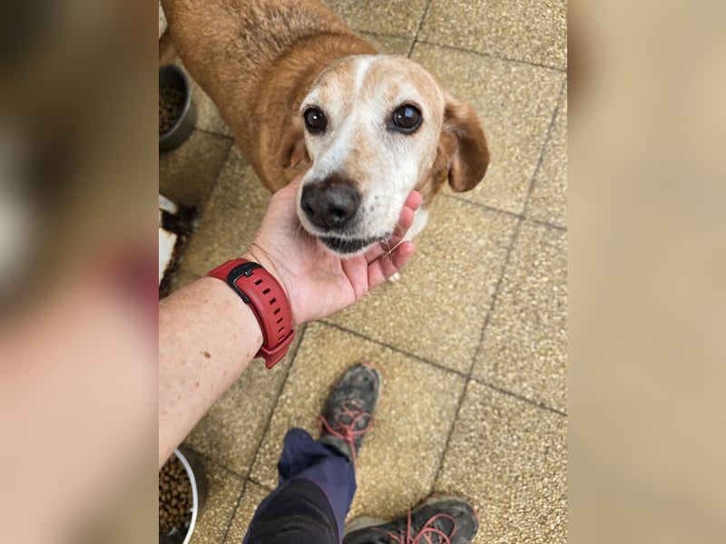 Perla: einmal nur geliebt werden...