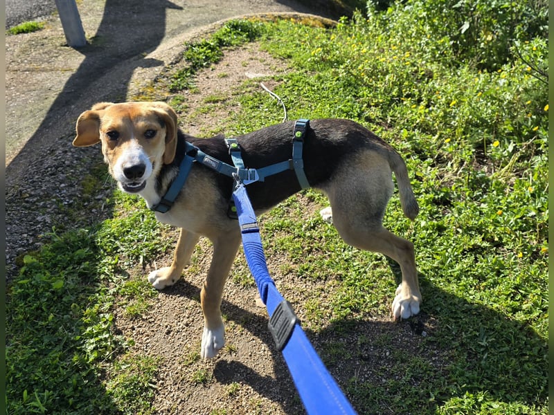 Venere: wird mein Leben bunt und schön?