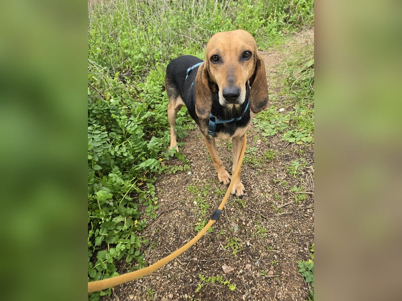 Paoluccia: einmal geliebt werden...