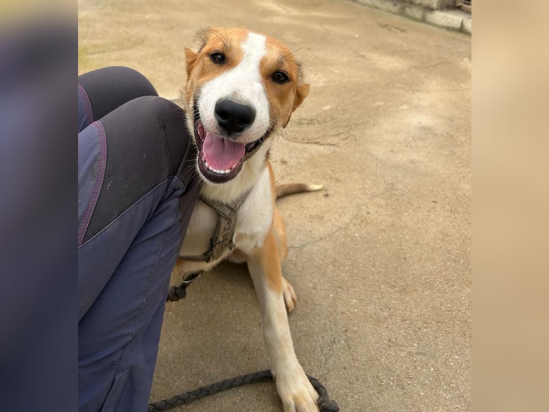 Billie: Hallo, hier bin ich!