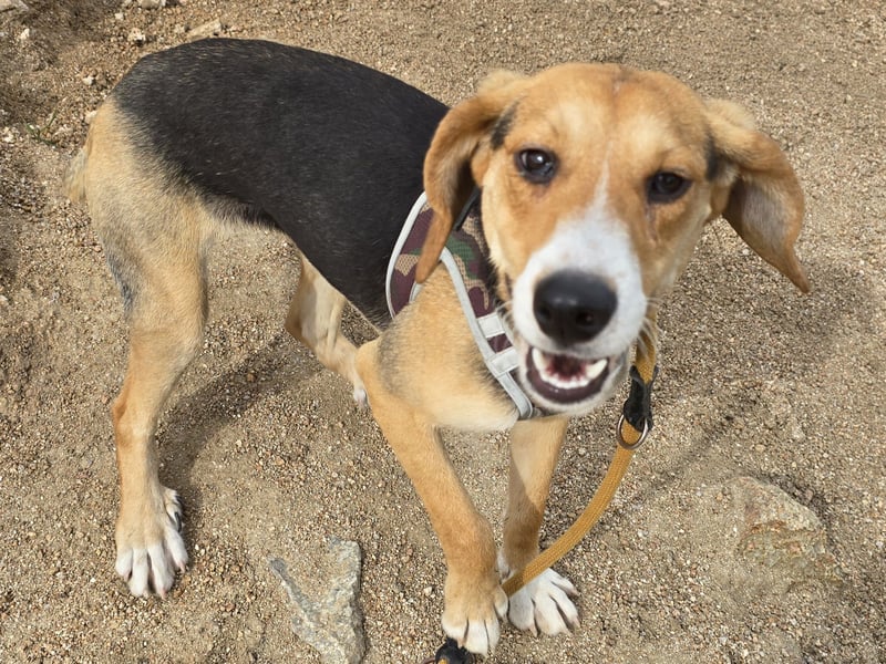 Venere: wird mein Leben bunt und schön?