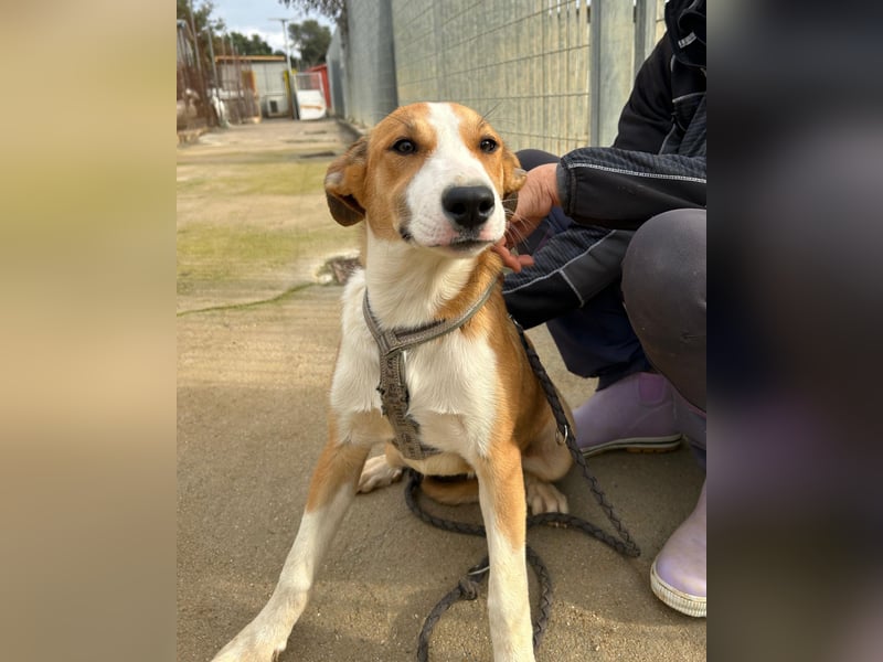 Billie: Hallo, hier bin ich!