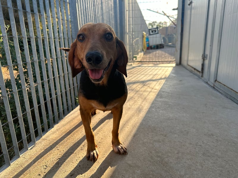 Fine: sie hat ganz viel Liebe zu geben