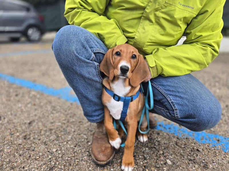 Nala Piccola: kleine Zuckerschnute