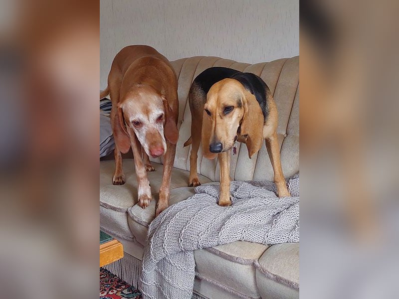 Maria sucht ein Zuhause