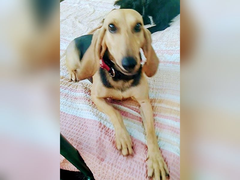 Maria sucht eine Familie