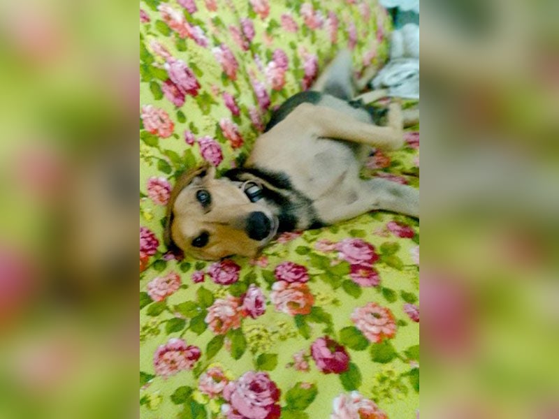 Maria sucht eine Familie