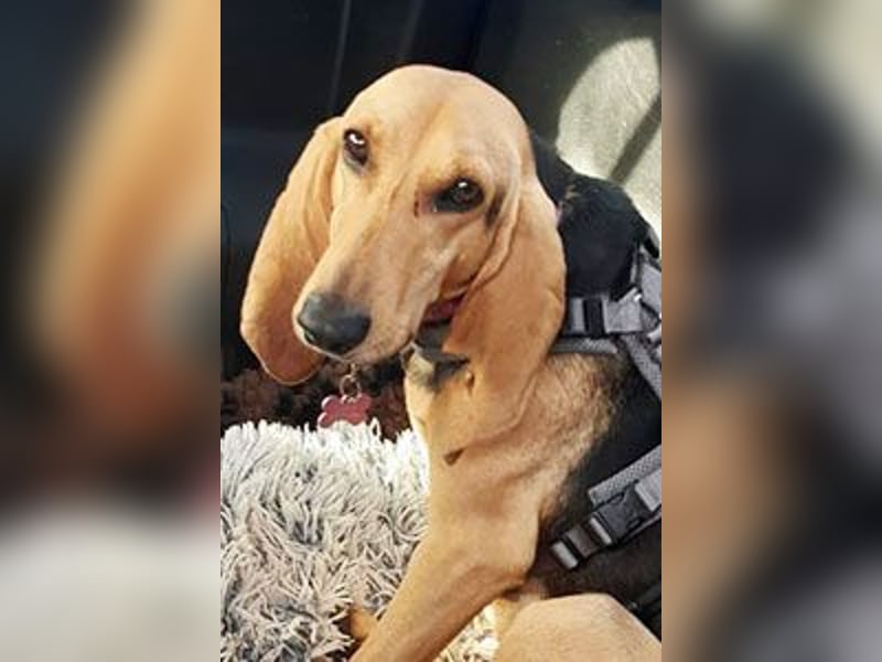 Maria sucht eine Familie