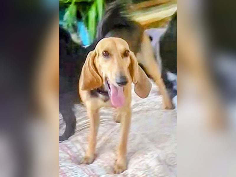 Maria sucht ein Zuhause