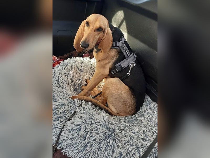 Maria sucht eine Familie