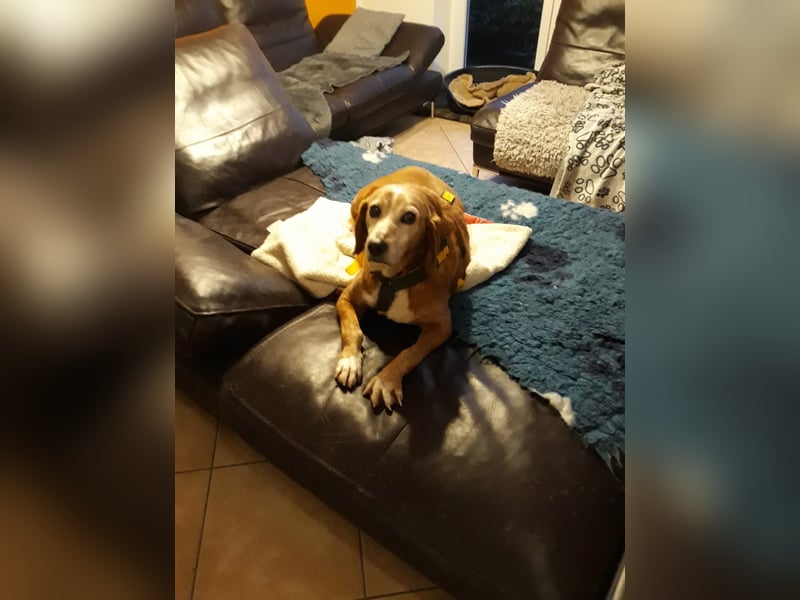 Perla: wer hätte das gedacht?