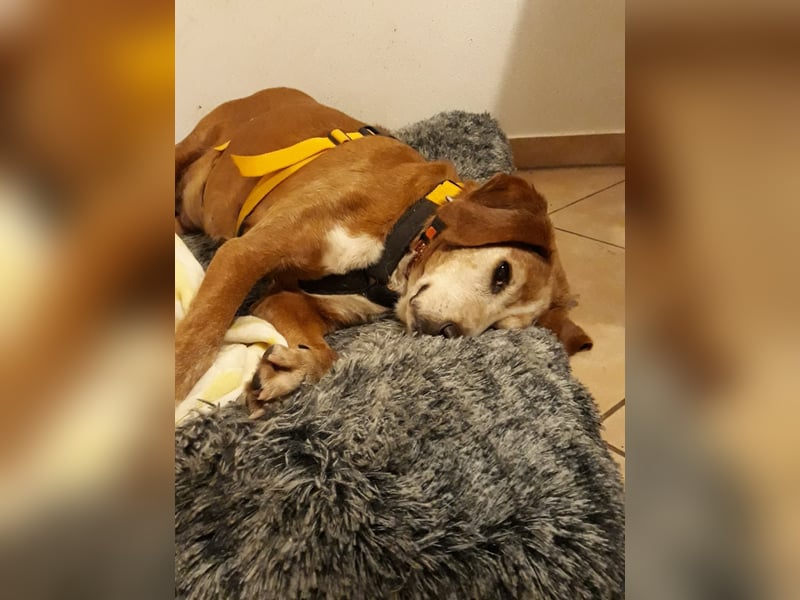 Perla: wer hätte das gedacht?