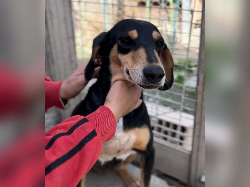 Fitte Seniorin Giulia möchte ankommen!