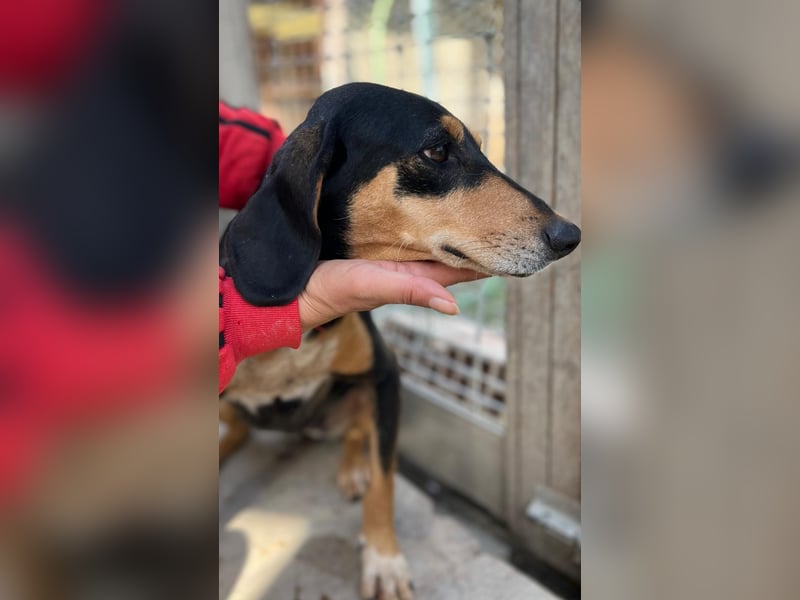 Fitte Seniorin Giulia möchte ankommen!