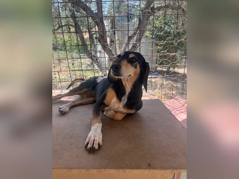 Fitte Seniorin Giulia möchte ankommen!