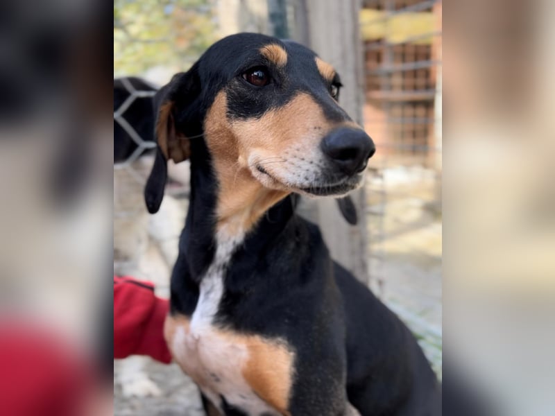 Fitte Seniorin Giulia möchte ankommen!