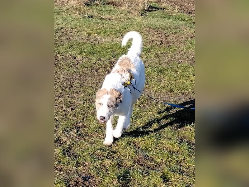 Anton: wer nimmt mich so, wie ich bin?