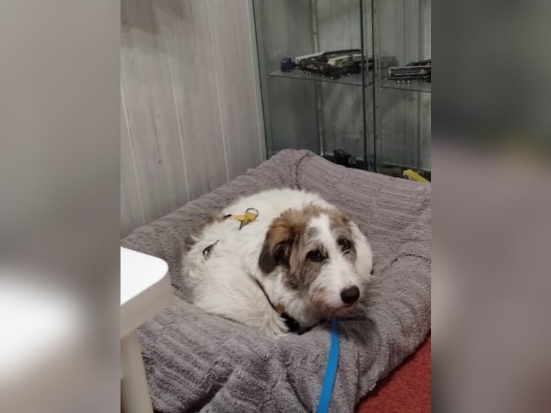 Anton: wer nimmt mich so, wie ich bin?