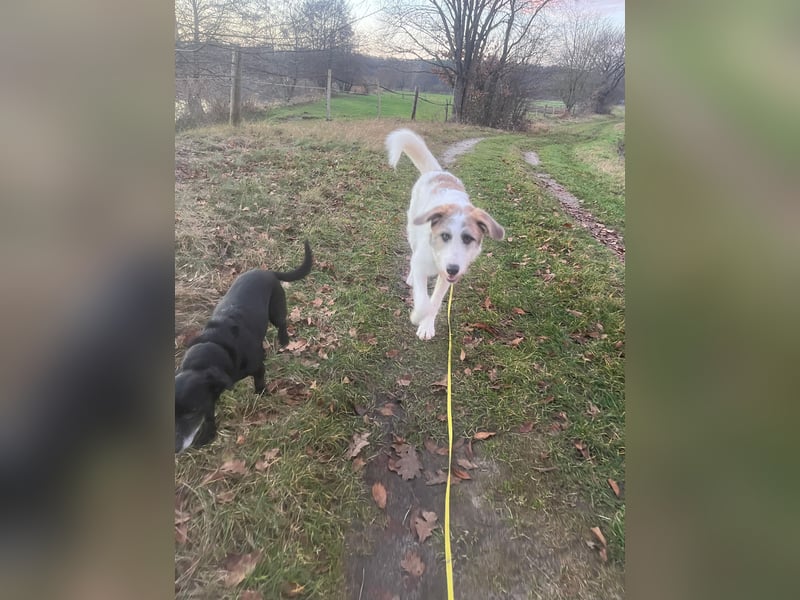 Anton: wer nimmt mich so, wie ich bin?