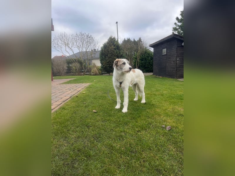 Anton: wer nimmt mich so, wie ich bin?