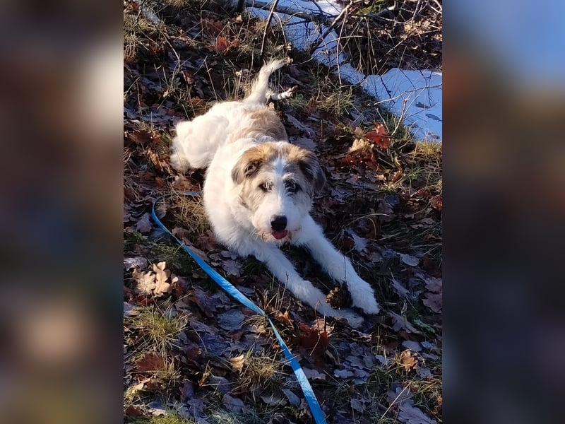 Anton: wer nimmt mich so, wie ich bin?