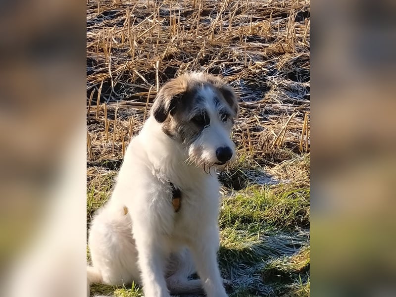 Anton: wer nimmt mich so, wie ich bin?