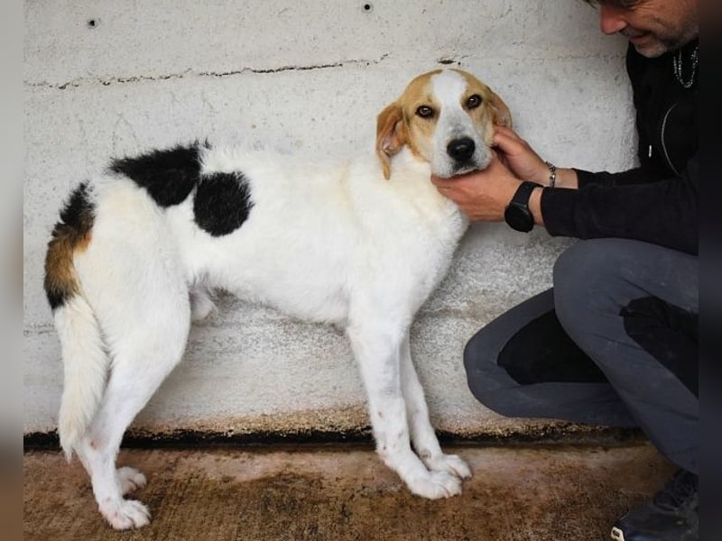 Anicho - wie wär's mit einem happy Happy End?
