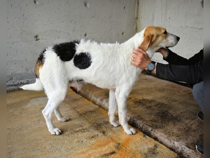 Anicho - wie wär's mit einem happy Happy End?
