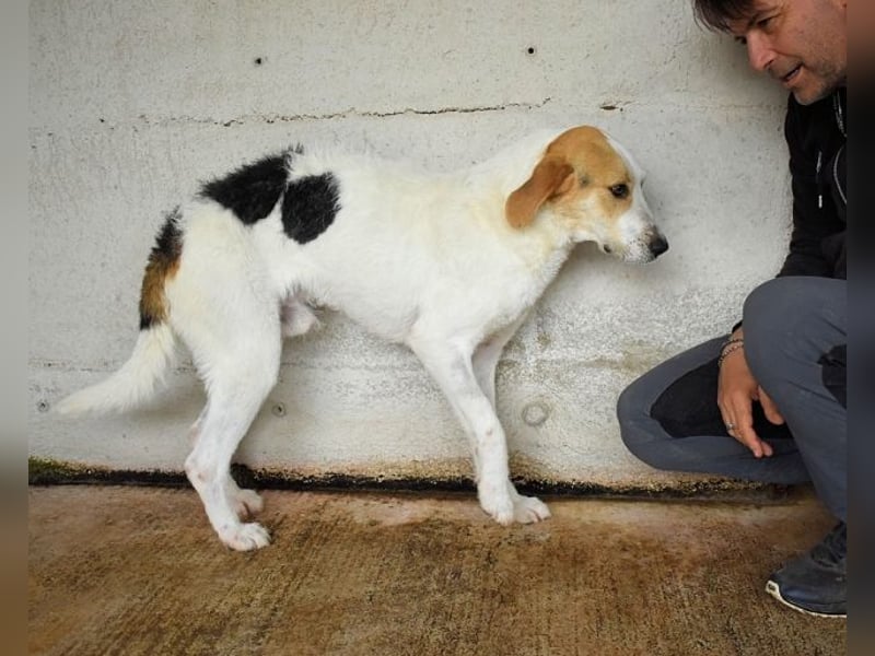 Anicho - wie wär's mit einem happy Happy End?