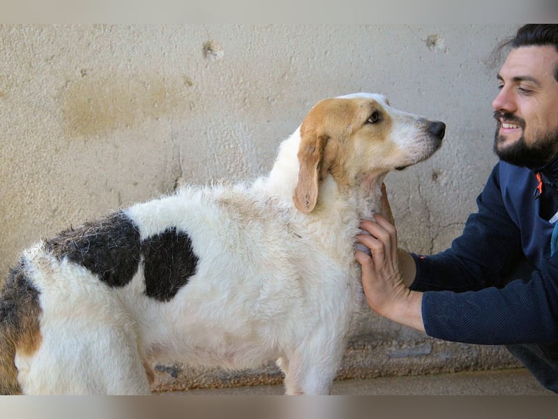 Anicho - wie wär's mit einem happy Happy End?