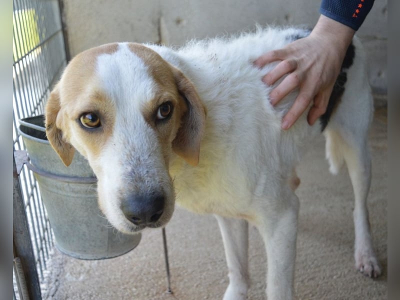 Anicho - wie wär's mit einem happy Happy End?