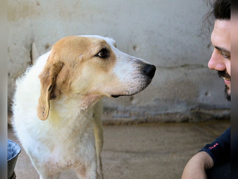 Anicho - wie wär's mit einem happy Happy End?