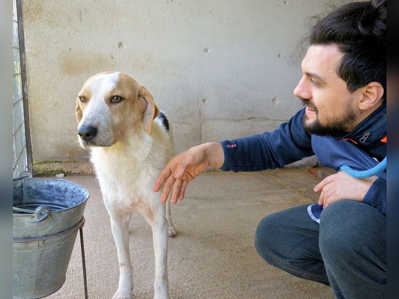 Anicho - wie wär's mit einem happy Happy End?