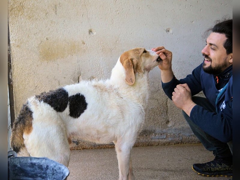 Anicho - wie wär's mit einem happy Happy End?