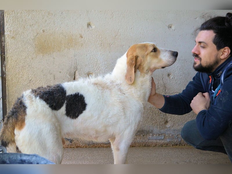 Anicho - wie wär's mit einem happy Happy End?