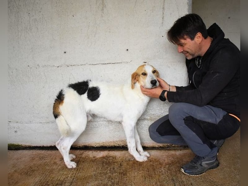 Anicho - wie wär's mit einem happy Happy End?