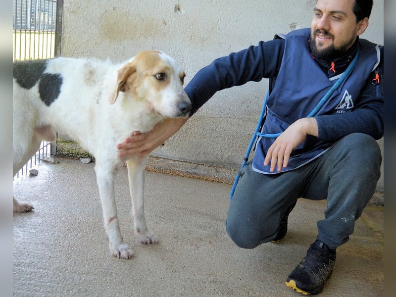 Anicho - wie wär's mit einem happy Happy End?