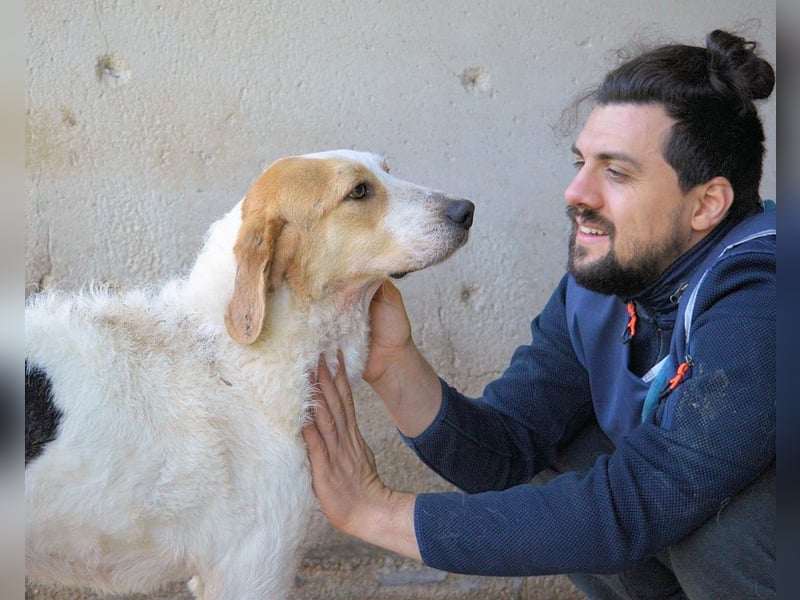 Anicho - wie wär's mit einem happy Happy End?