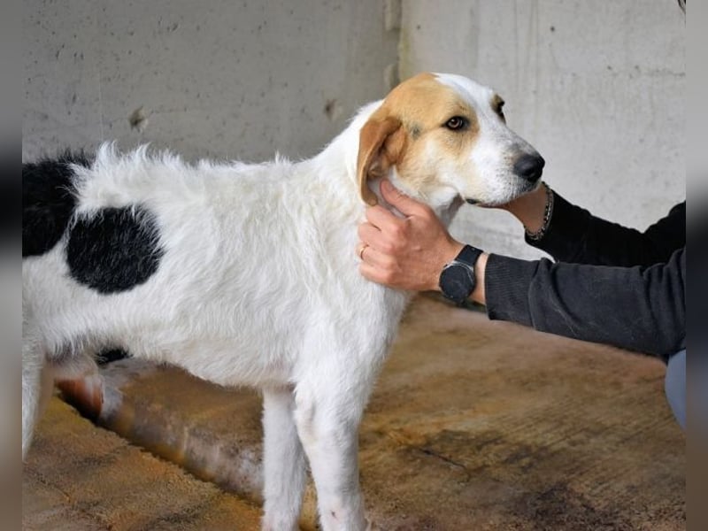 Anicho - wie wär's mit einem happy Happy End?