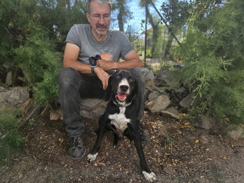 Vernedi: eine Seele von Hund