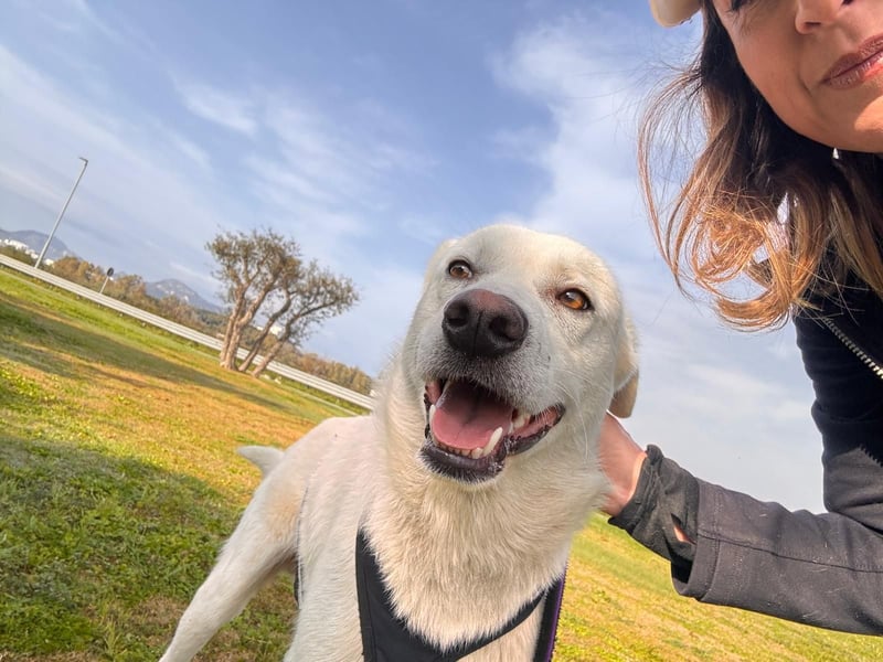 Lupin: warum bin ich hier?