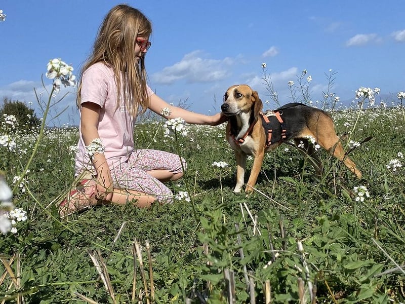 Pamela - Schüchterne Hündin sucht Mutmacher