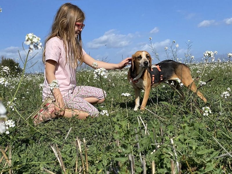 Pamela - Schüchterne Hündin sucht Mutmacher