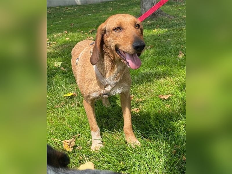 JOY möchte endlich ihr Leben genießen dürfen